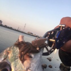 朝イチのど干潮