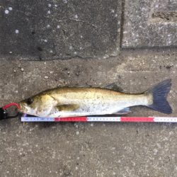 小物ばかりでも入れ食いだと楽しいね