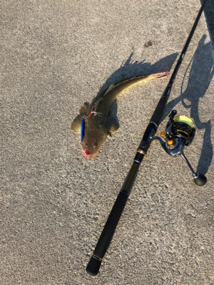 デカサバを求めて…