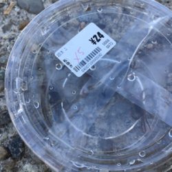 「スズキ」さん？