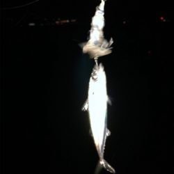 去年のリベンジ