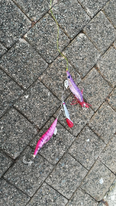 サビキで豆アジ