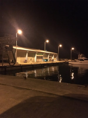 アジどこいった？