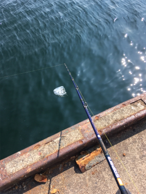 オクトパッシング