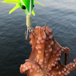 シェイクシェイクシェイク