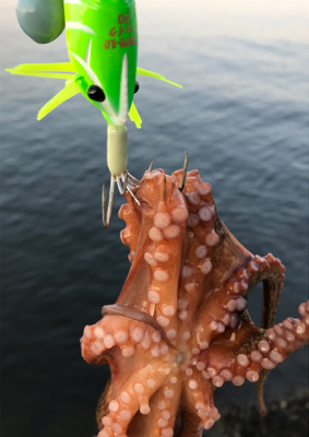 シェイクシェイクシェイク