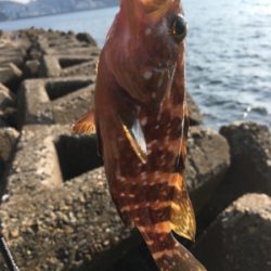 親父たちの釣行 第7弾