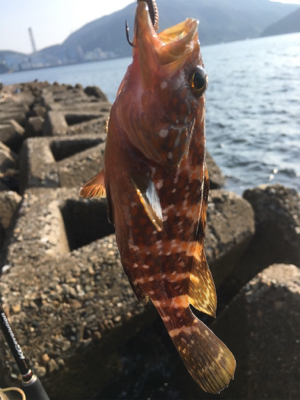 親父たちの釣行 第7弾