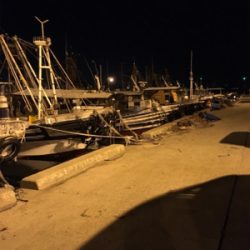 ナイトショアジギング