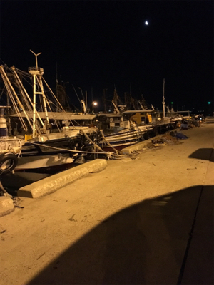 ナイトショアジギング