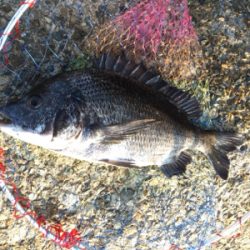 スケスケ潮！渋い！