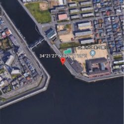 夕方チニング 30センチ