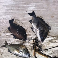 空港フカセ釣り