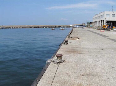 夕方からの五目釣り