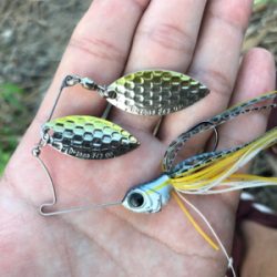 スピナーベイト入魂！