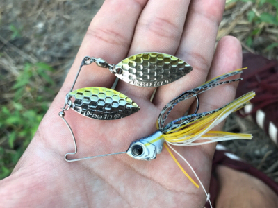 スピナーベイト入魂！