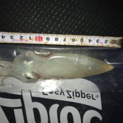 やっとケンサキイカGET (^^)/