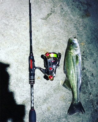 色々なルアーで釣れますよ〜