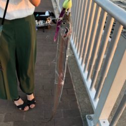 先にどっちが釣るか大会