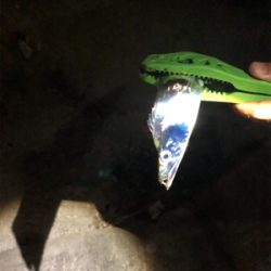 やっと来ましたサバゲー