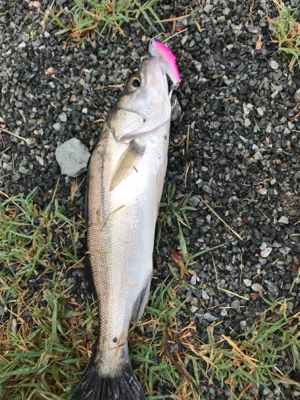 秘密の場所でゲット