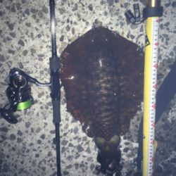 お盆で混む前に