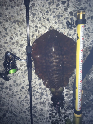 お盆で混む前に