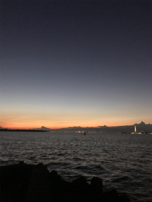 久しぶりタコ。