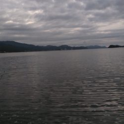 チョイ投げにて