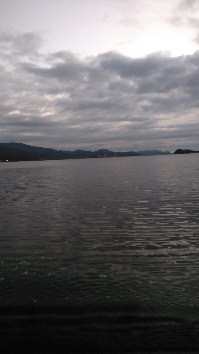 チョイ投げにて