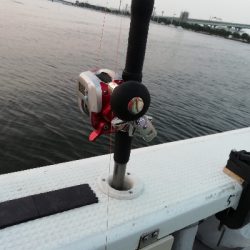 【釣人家】午前タコ便