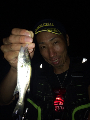 ケンサキイカナイトゲーム☆