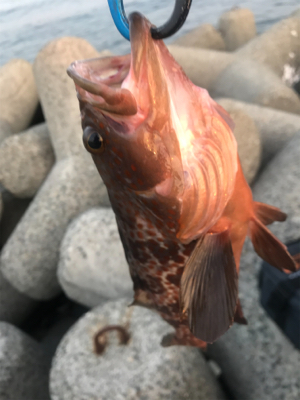 水温が高いのか(T . T)