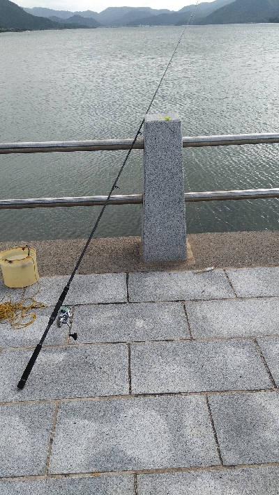 ヒイラギ、ハゼ