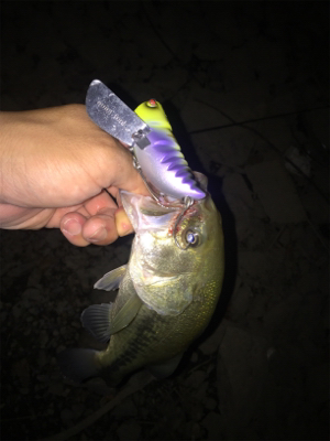 夏のNOVELゲーム開催