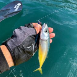 カヤックフィッシング！