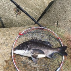 本日は魚の活性が高い！