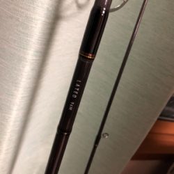 秋田火力早朝LSGでタチウオゲット