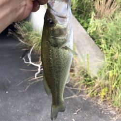 ガルプ最高‼︎！