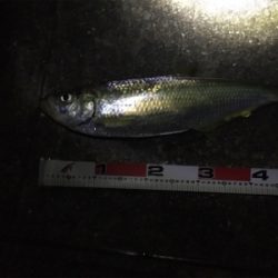 全く知らなかったです。