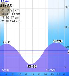 ライトエギング