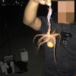 やっと釣れた^ ^