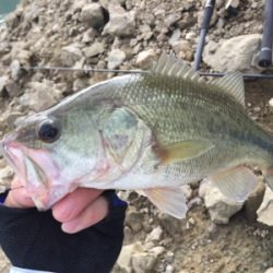 巻き巻きウキウキ