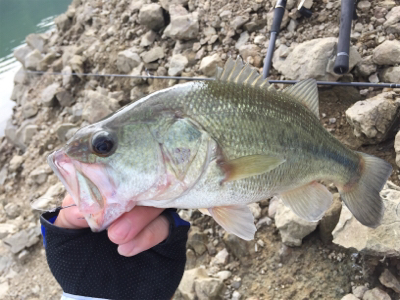 巻き巻きウキウキ