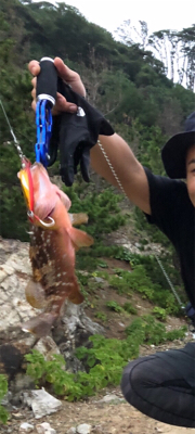 キジハタと、ガッシ〜