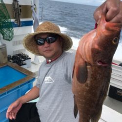 落とし込みサビキ  鳴門  まるかつ