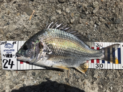 短時間チニング