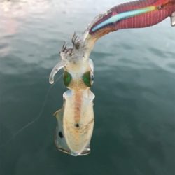 オヤジ達の釣り旅行1日目