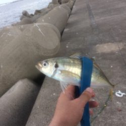 尺メクリアジ、再び