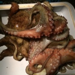 仕事終わりのタコ